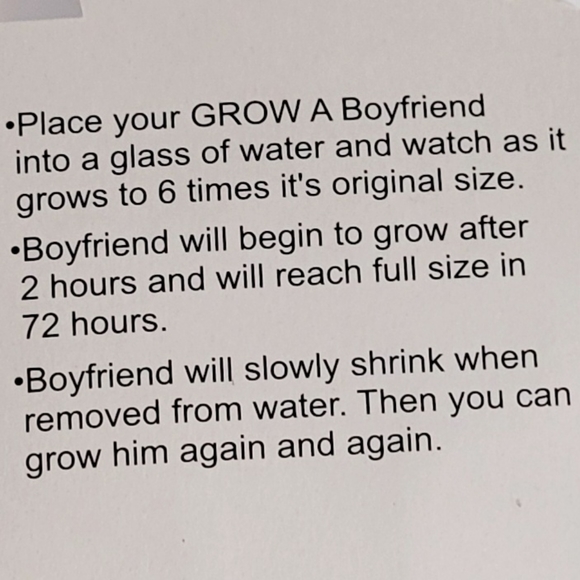 Grow a Boyfriend, Gift Bachelorette / Bachelor /   Friend / Gag Gift, New - Picture 3 of 6